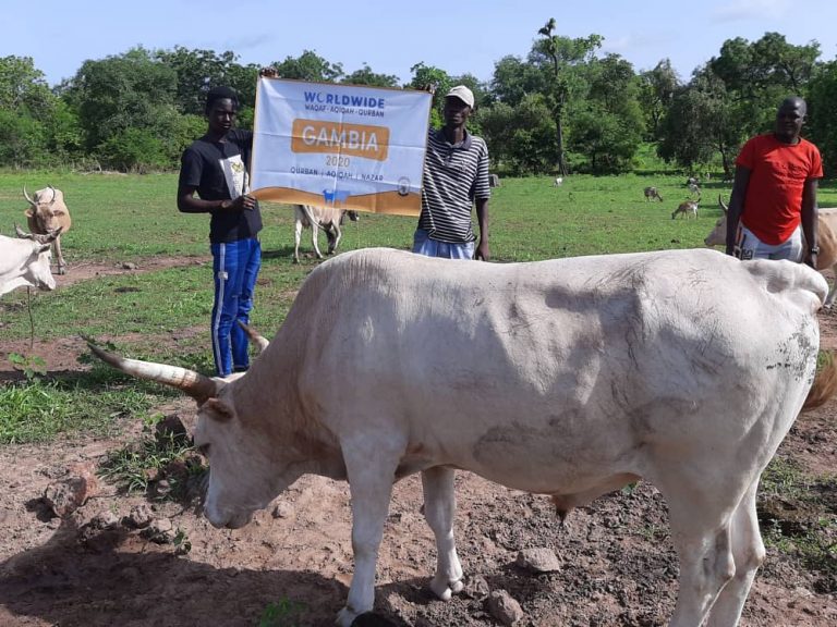 Qurban Gambia 2021