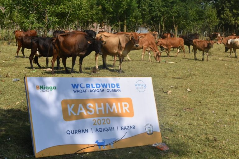 Qurban Kashmir 2020