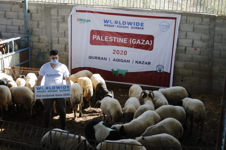 Qurban Palestin 2021