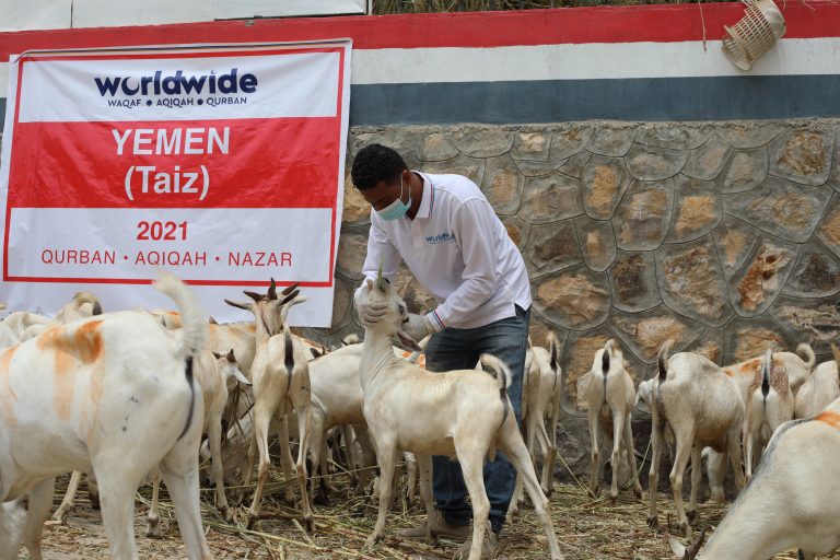 Qurban Yemen 2021