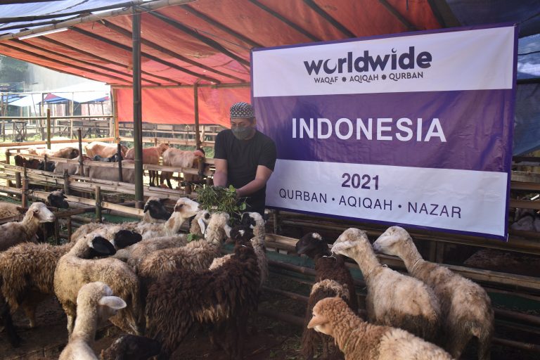 Qurban Indonesia 2021