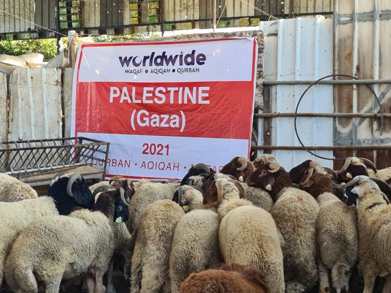 Qurban Palestine (Gaza) 2021