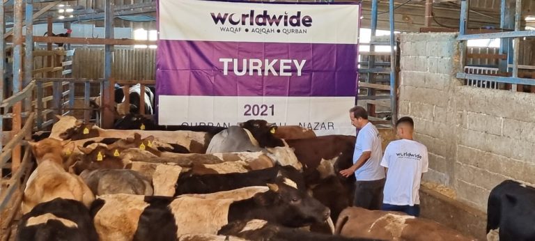 Qurban Turkey 2021