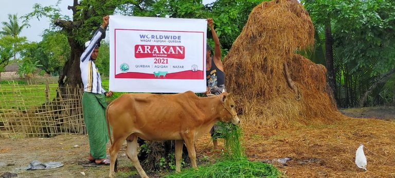 Qurban Rohingya (Arakan) 2021