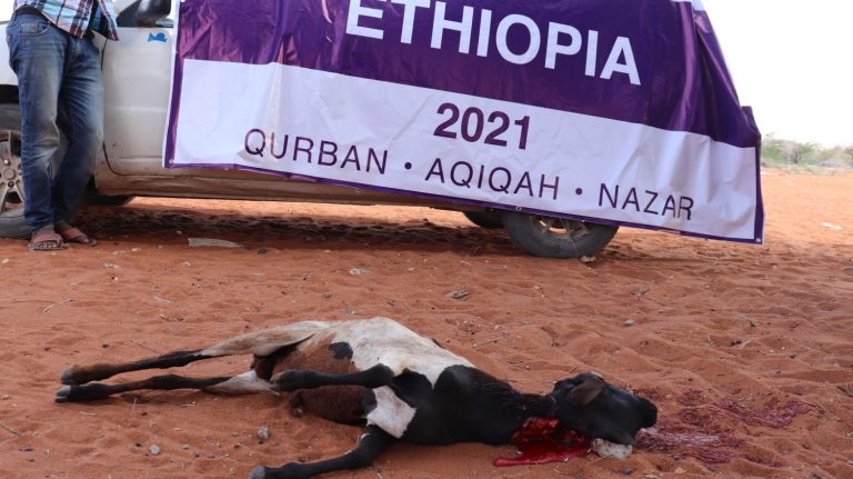 Qurban Eithiopia 2021